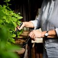 Czy warto inwestować w profesjonalną pielęgnację ogrodów? Poradnik dla właścicieli domów