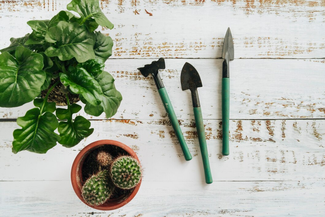 Jak wybrać profesjonalnie wykonane narzędzia do pielęgnacji Twojego ogrodu?