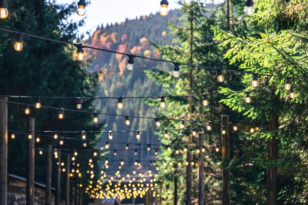 Tworzenie nastrojowego ogrodu za pomocą światła: Inspiracje i porady