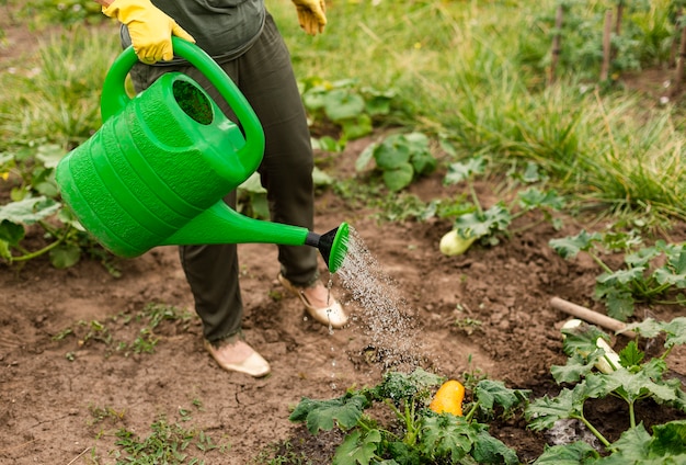 Jakie są najlepsze sposoby na naturalne nawadnianie i nawożenie ogrodu?